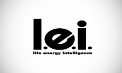 L.E.I Logo Design