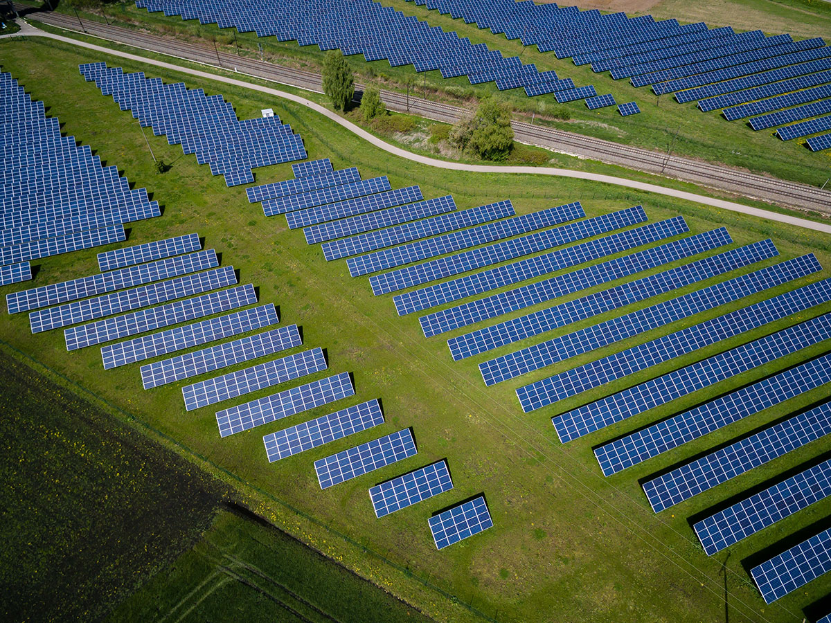 Top 10 Eco Friendly Company Logos