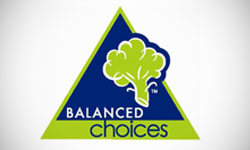 Balanced Choices Logo Design