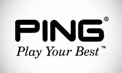 Ping Logo Design