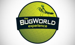 The Bug World Experience Logo Design