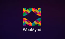 WebMynd Logo Design