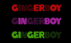 Gingerboy Neon Logo Design