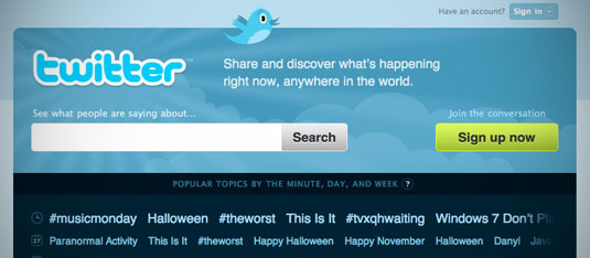 Twitter Website Logo Design