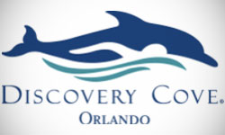 Discovery Cove Logo Design