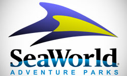 SeaWorld Logo Design
