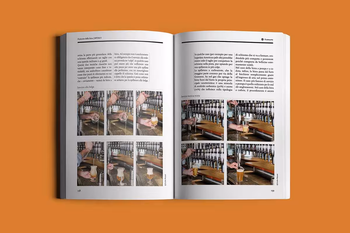 The Pleasure of Beer Book Design - Image 4