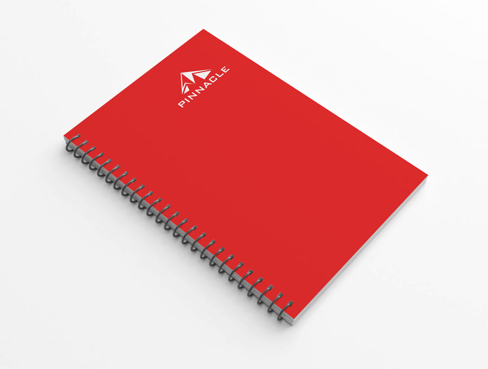 Pinnacle logo design applications