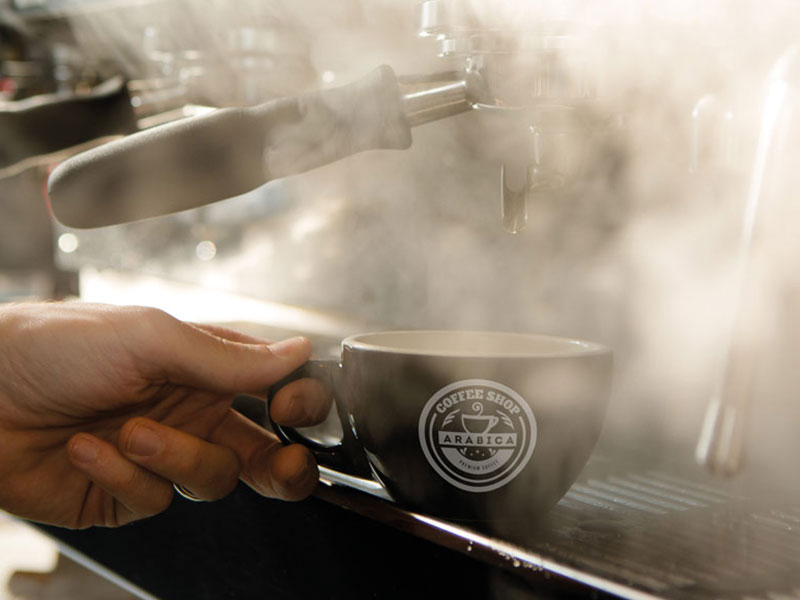 Arabica Coffee Shop Logo & Branding