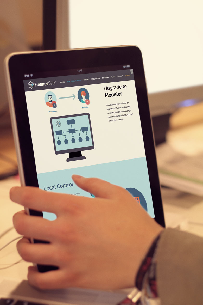 financeseer website design