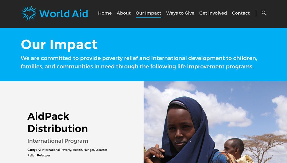website screen