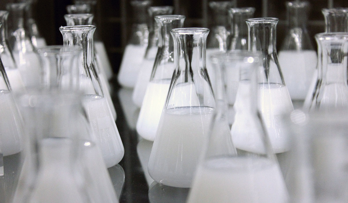 BioCold logo design applications